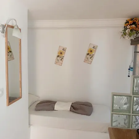 Lucas B Panorama Αλοπρόνοια