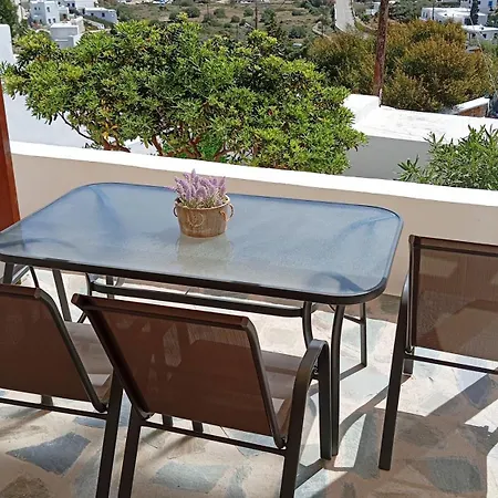 Lucas B Panorama * Alopronia